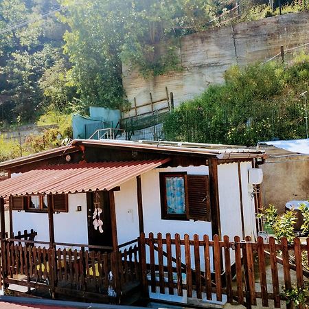 Bungalow Sixdays 2 Camporosso  Bagian luar foto