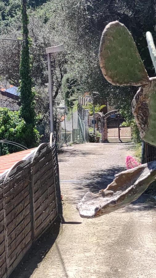 Bungalow Sixdays 2 Camporosso  Bagian luar foto