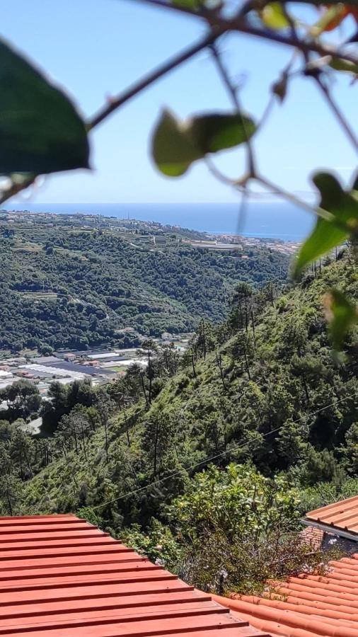 Bungalow Sixdays 2 Camporosso  Bagian luar foto